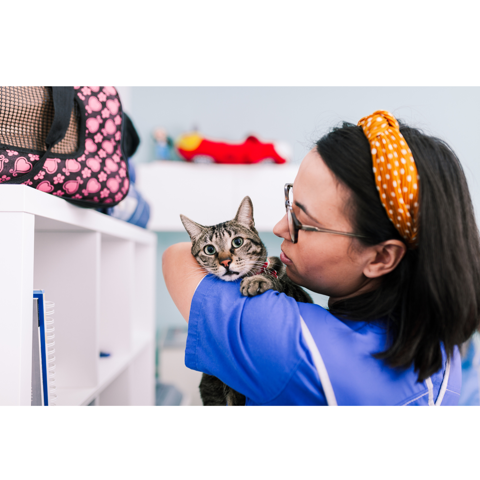 Beneficios de una plataforma dedicada a radiología veterinaria